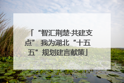 “智汇荆楚·共建支点” 我为湖北“十五五”规划建言献策